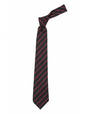 Christ Church Purley Tie (KS2/Worn with Blouse or Shirt)
